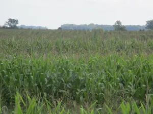 Farm Land for Sale