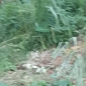 Land Available for Sale
