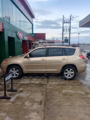 Toyota RAV4 2.5 Limited 2010 Gold
