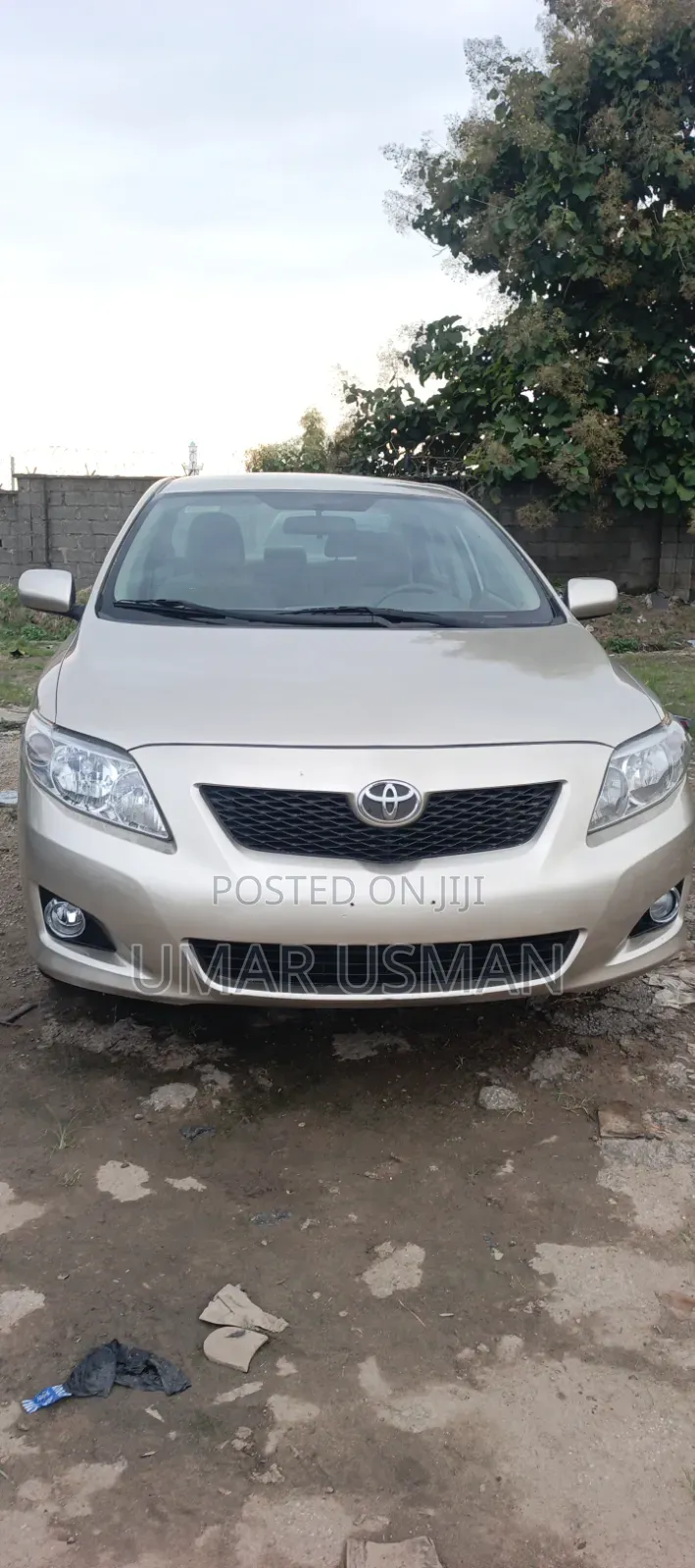 Toyota Corolla 2010 Gold