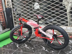 Mercedes Foldable Big Tyre Bicycle