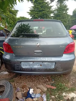 Peugeot 307 2006 Blue