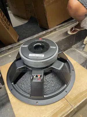 Naked Speaker 18 Inches