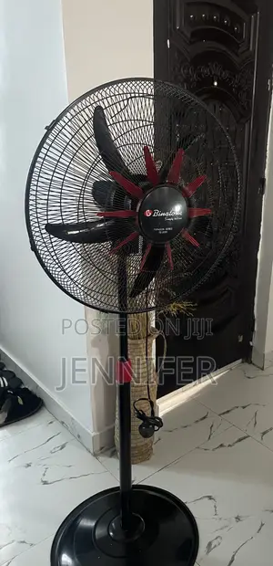 Standing Fan