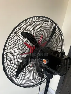 Standing Fan