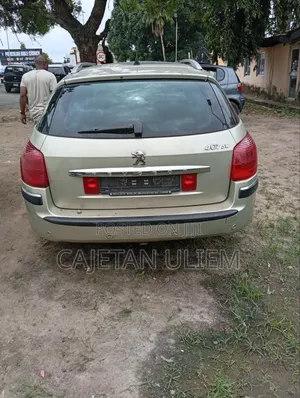 Peugeot 407 2025 Gray