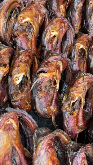 Premium Nigerian Smoked Catfish – Wholesale Retail