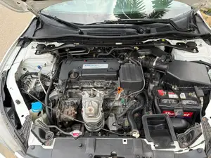 Honda Accord 2014 White