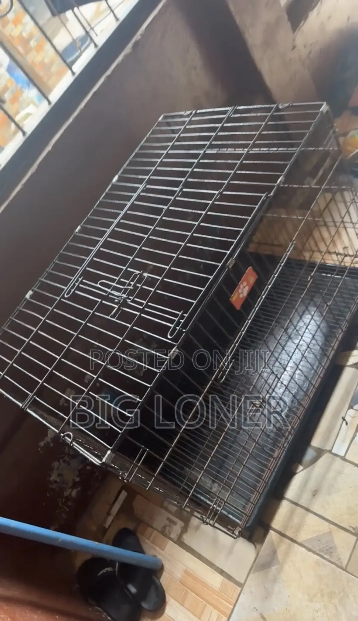 Collapsible Dog Cage for Sale