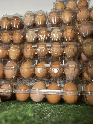 Packaged Eggs