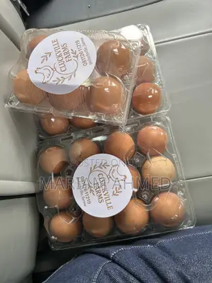 Packaged Eggs