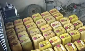 Fresh Palm Oil for Sale
