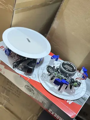 2in1 Frame Bluetooth Wireless 30w Ceiling Speaker