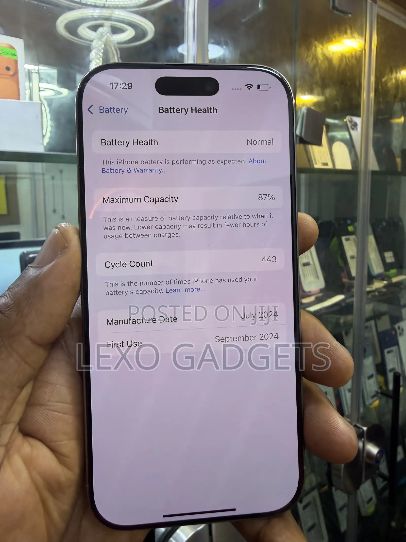 Apple iPhone 16 Pro 256 GB Silver