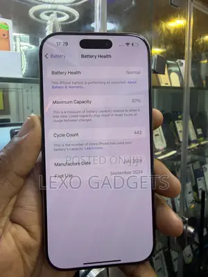 Apple iPhone 16 Pro 256 GB Silver