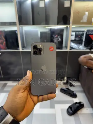 Apple iPhone 12 Pro Max 128 GB Gray