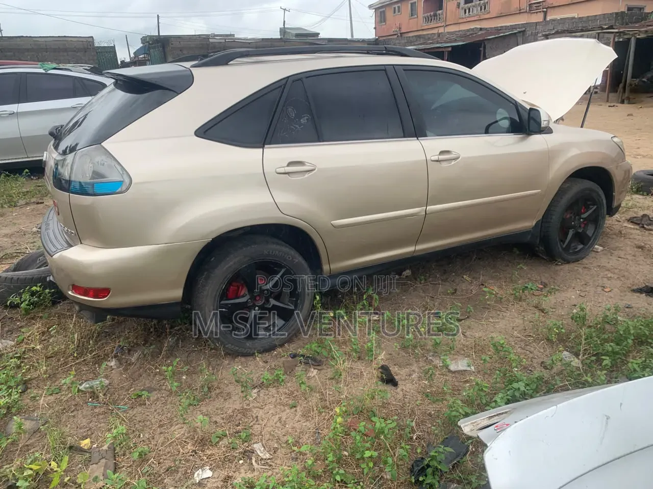 Lexus RX 2005 Gold