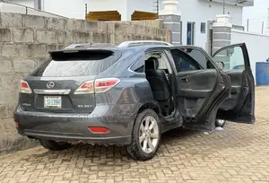 Lexus RX 2013 Gray