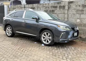 Lexus RX 2013 Gray