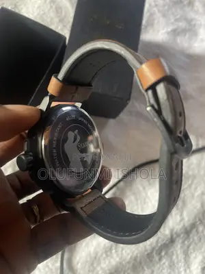 Stauer Watch