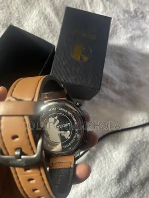 Stauer Watch