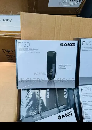 Akg P120 Condenser Mic