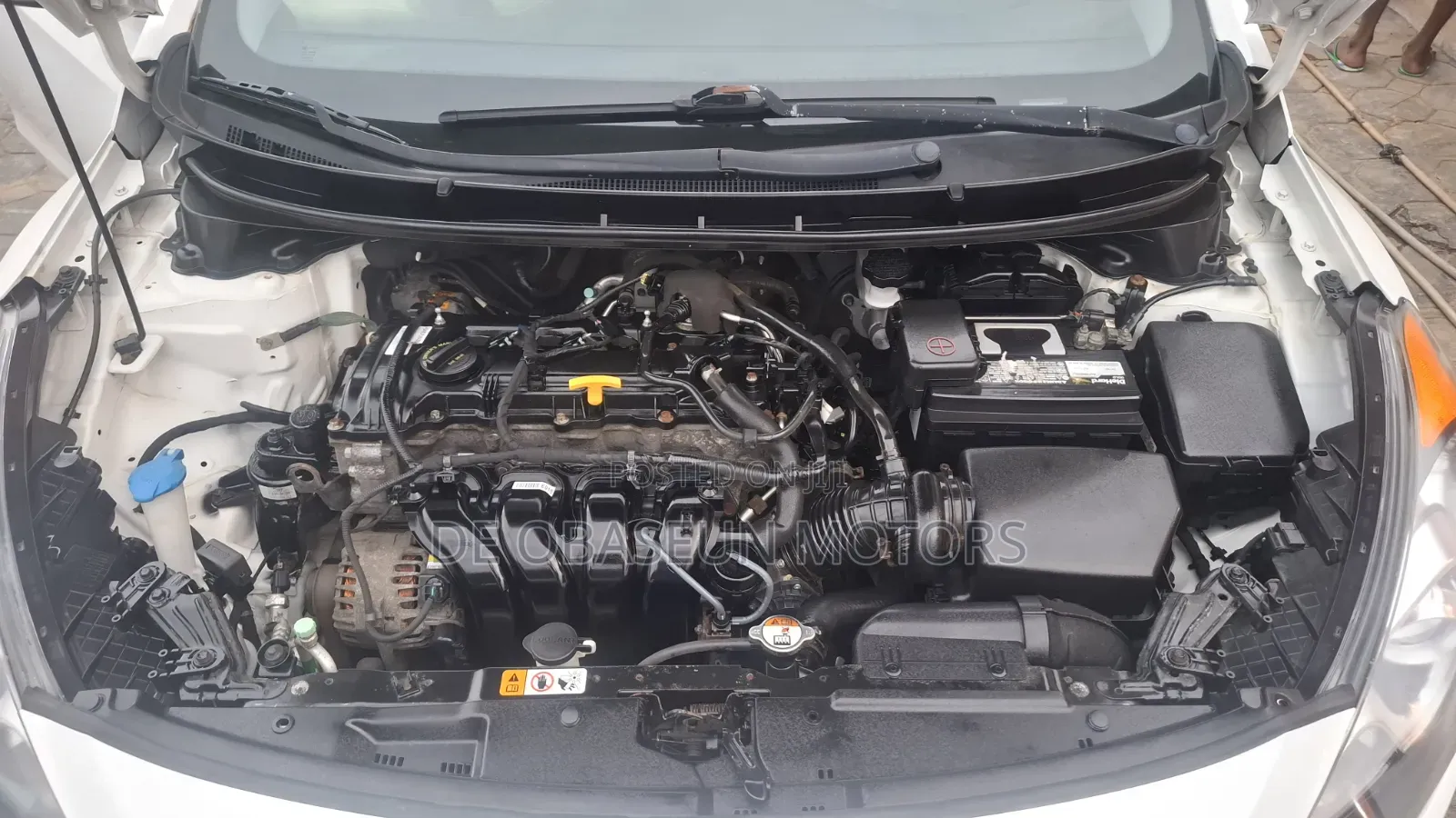 Hyundai Elantra 2016 White