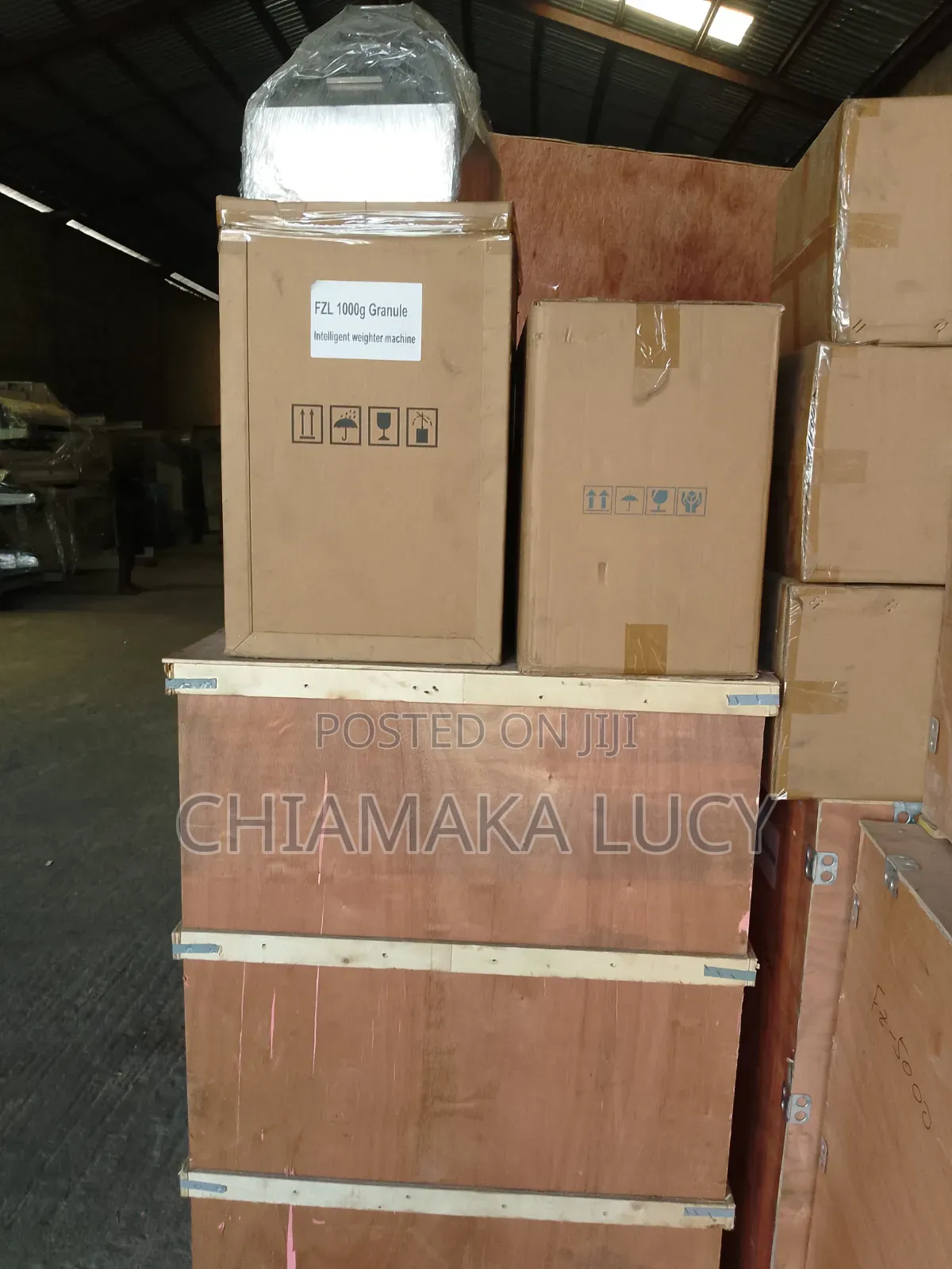 Automatic Granule Powder Packaging Machine (FZL-1000)
