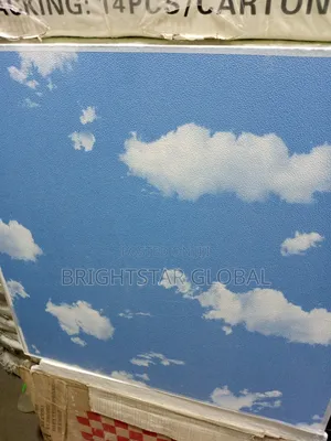 Pop Suspended Ceiling