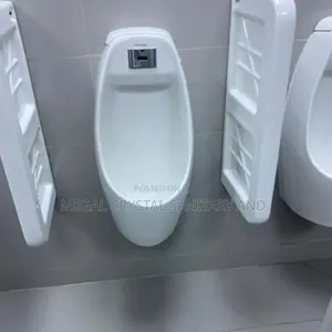 Excutve Sensor Urinal Bowl