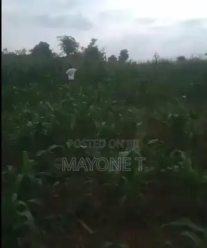 Premium 18.40-Hectare Land for Sale at Wasa, Apo, Abuja