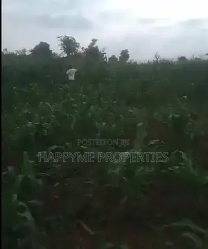 Premium 18.40-Hectare Land for Sale at Wasa, Apo, Abuja