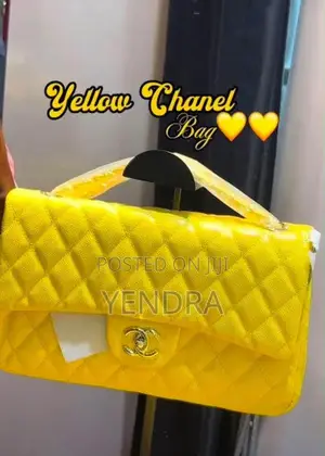 Ladies Chanel Bags