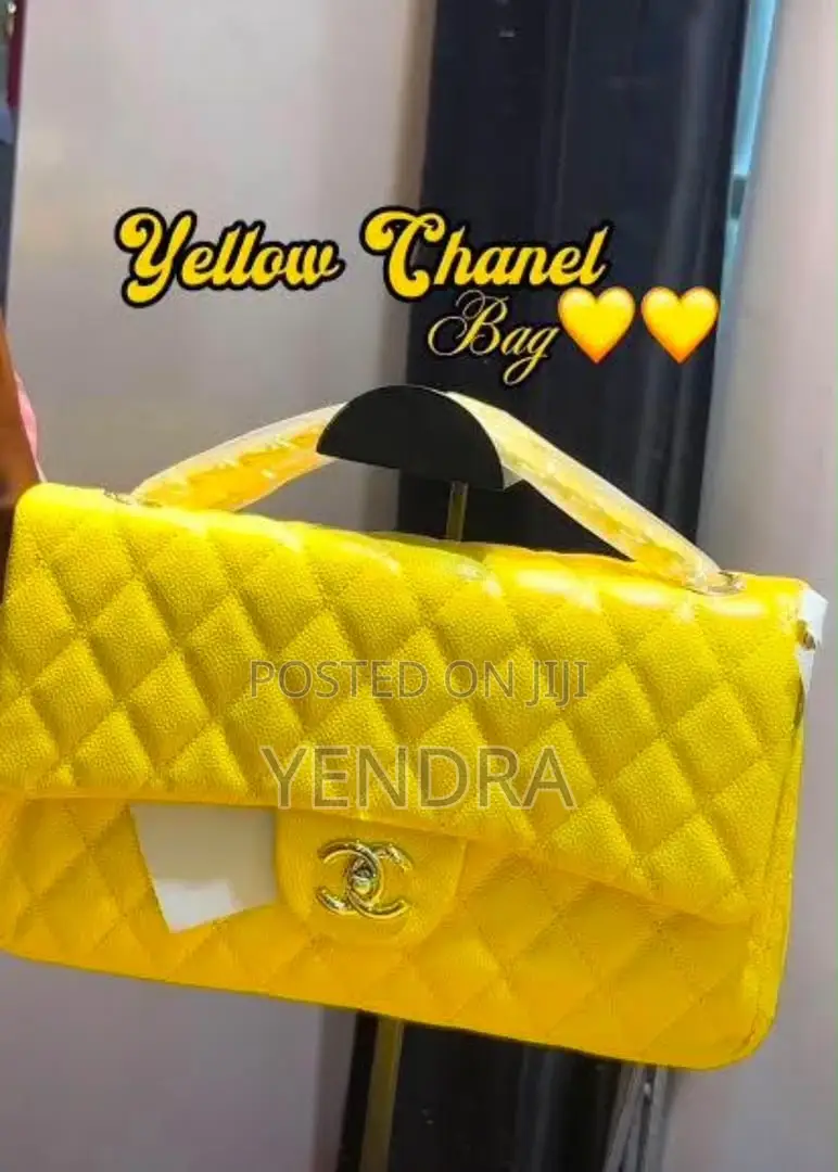 Ladies Chanel Bags