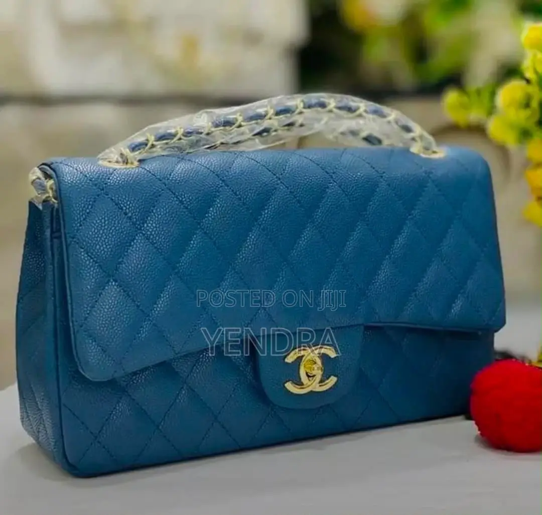 Ladies Chanel Bags