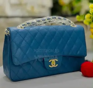 Ladies Chanel Bags