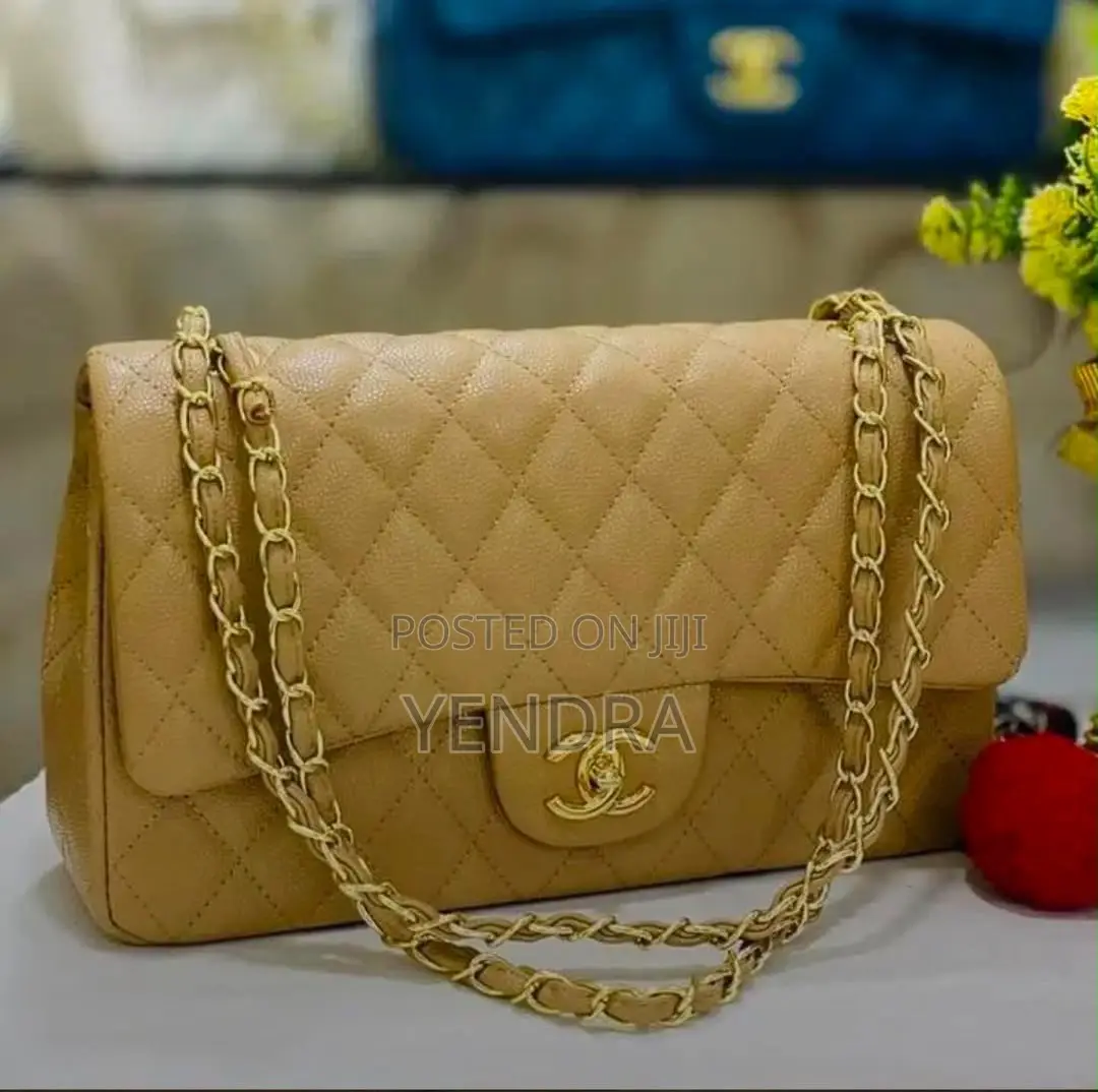 Ladies Chanel Bags