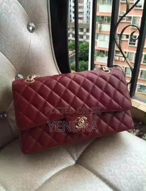 Ladies Chanel Bags