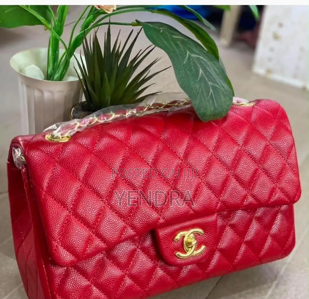 Ladies Chanel Bags