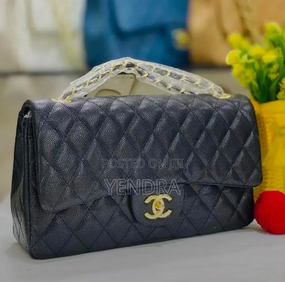 Ladies Chanel Bags
