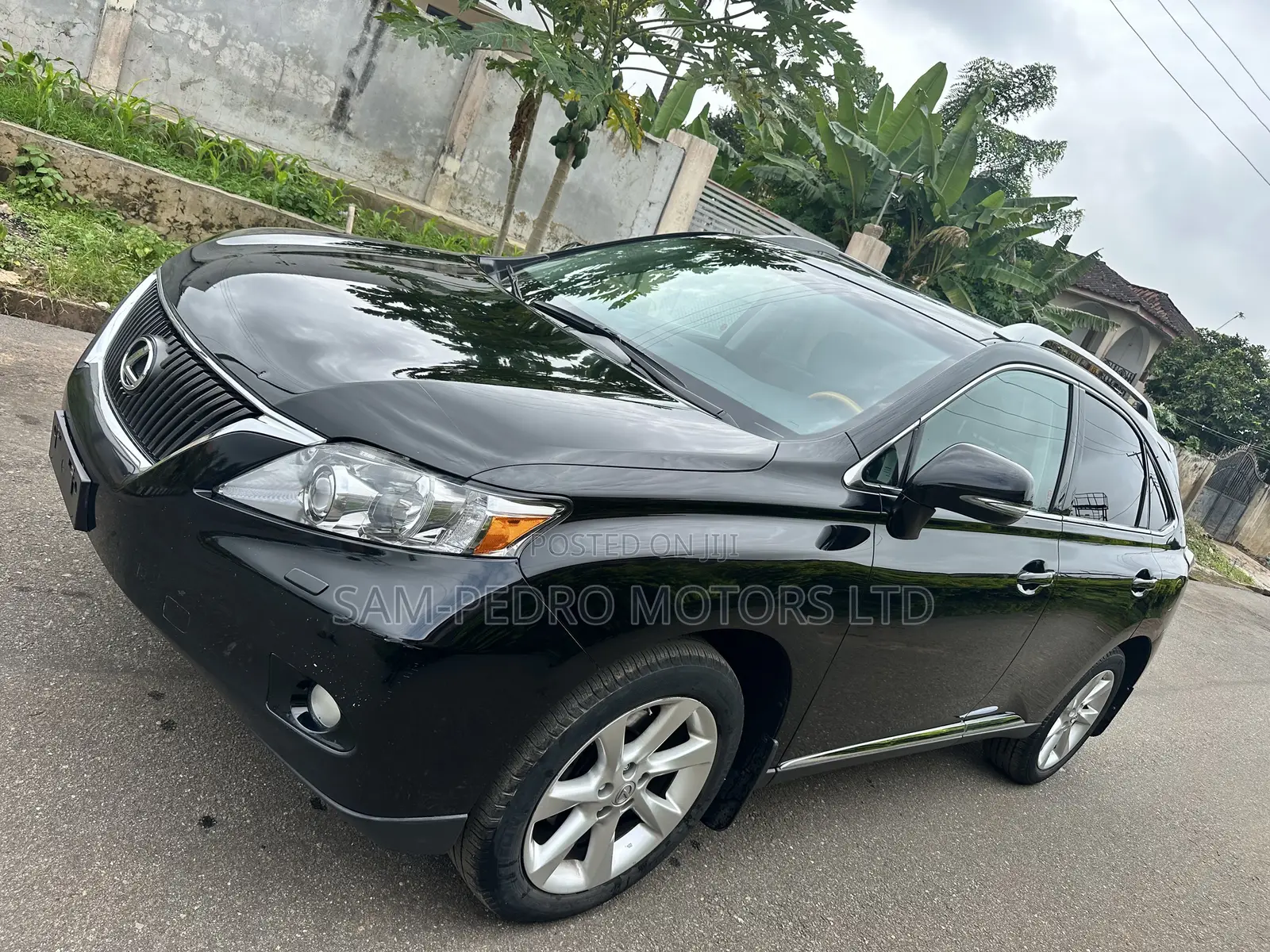 Lexus RX 350 2010 Black