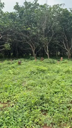 1400sqm Residential Land