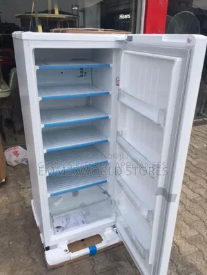 LG Ice Block Freezer
