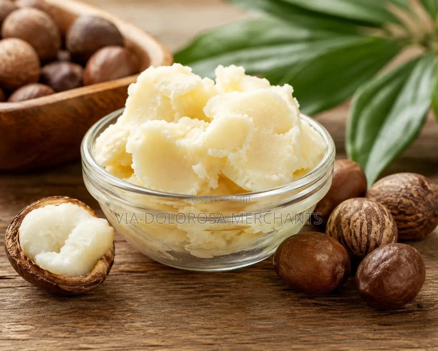 Shea Butter