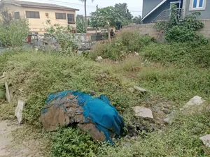 Half Plot of Land at Abuleegba Facing Tarred Road for Lease