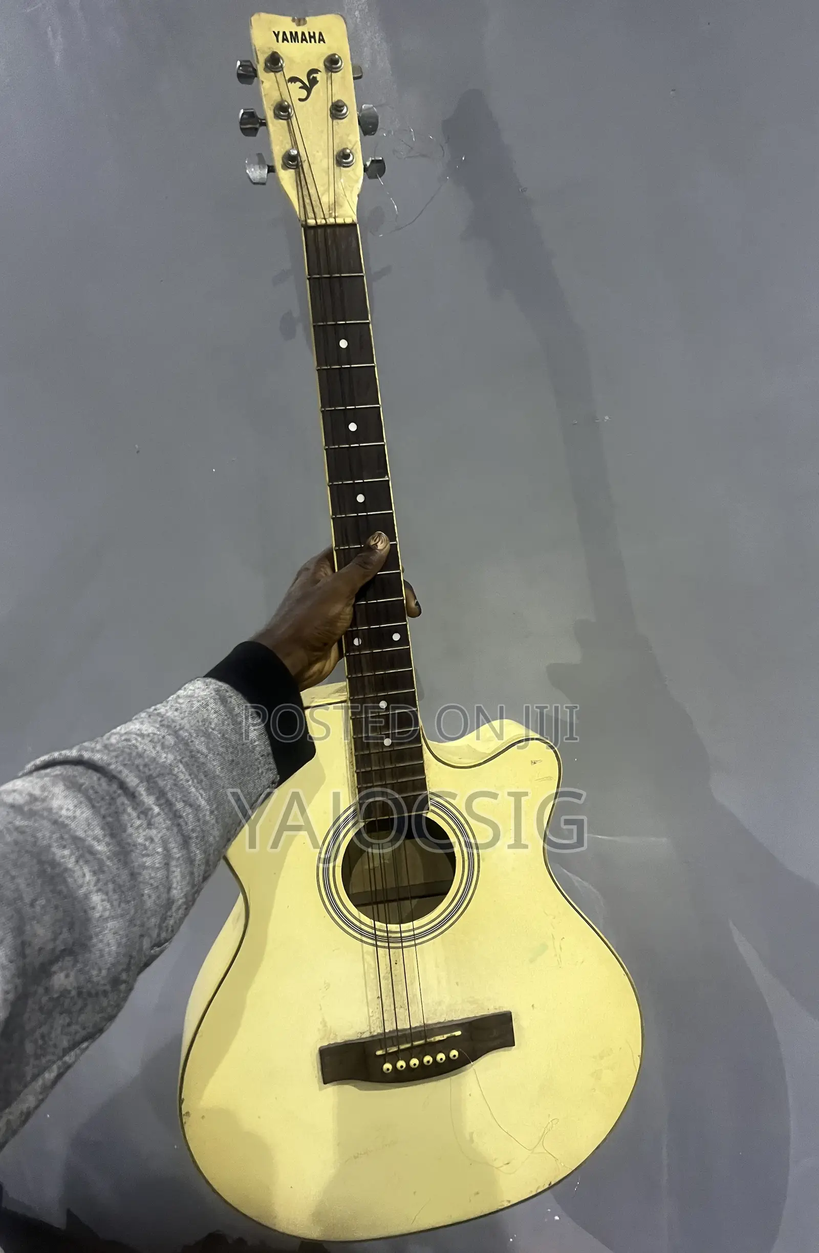 Acoustic Guitar