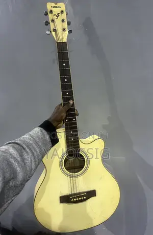 Acoustic Guitar