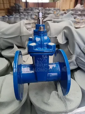 Gate Valve Rubber Tongue