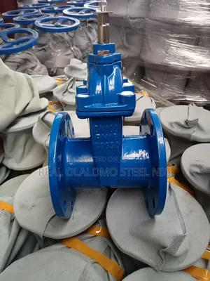 Gate Valve Rubber Tongue