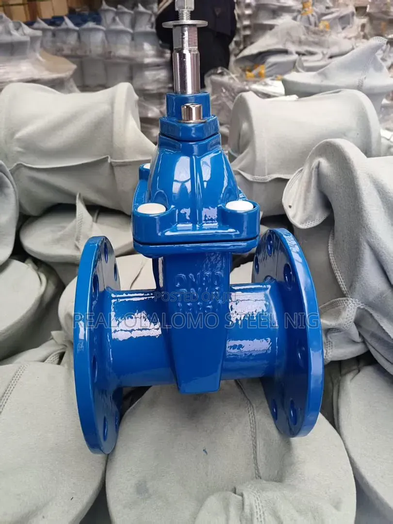Gate Valve Rubber Tongue